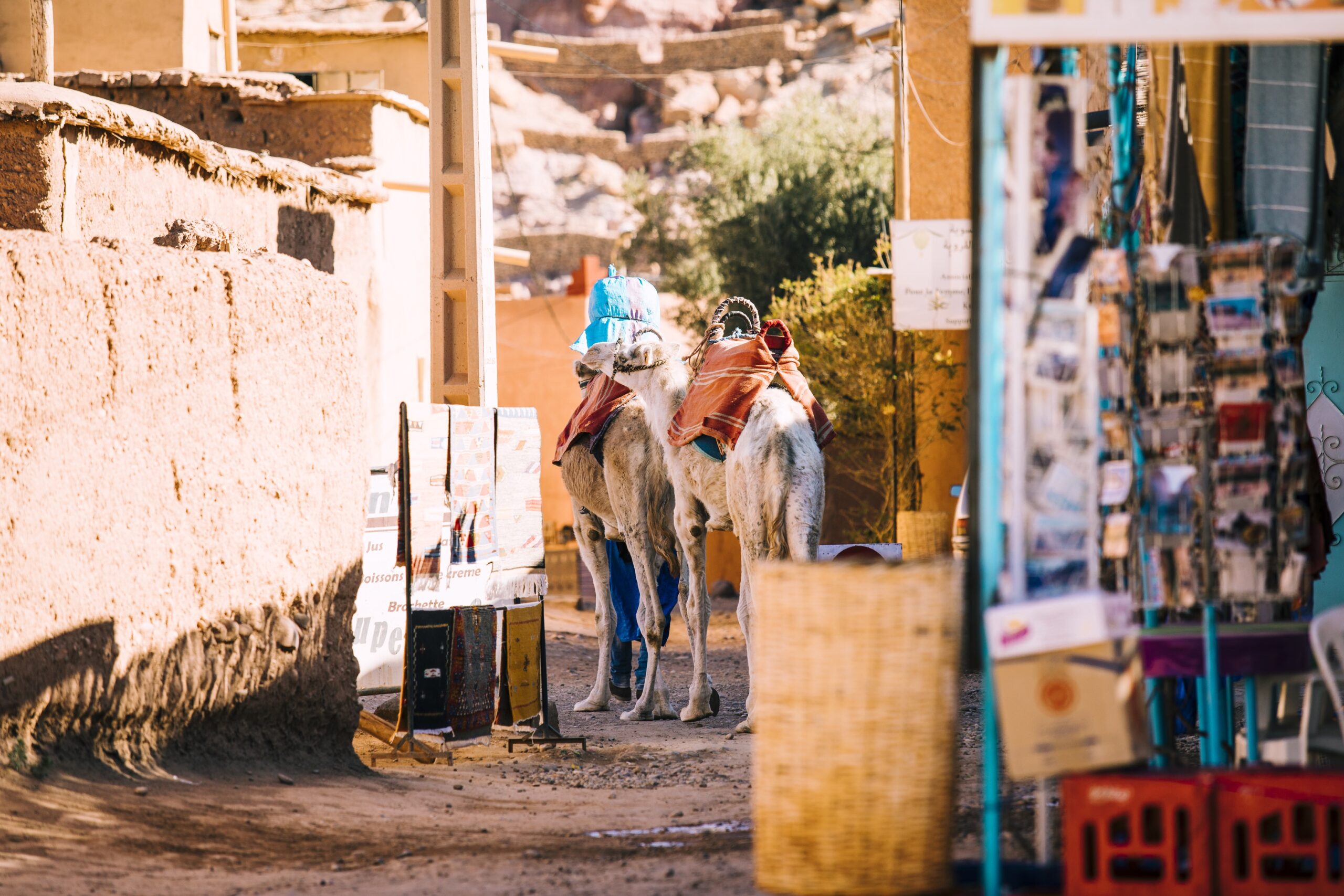 Viajar com o Daniel em Marrocos